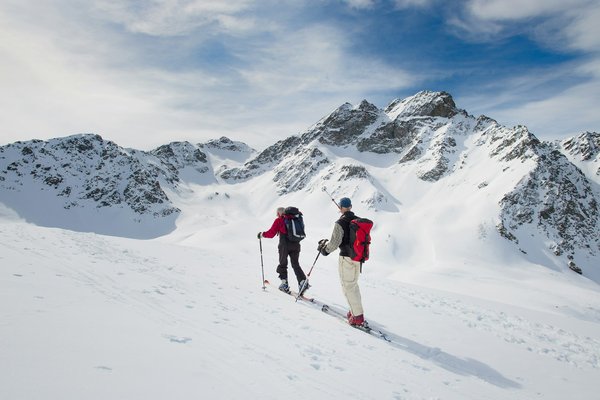 Quels sont les meilleurs sentiers pour une randonnée dans le parc national de Denali, USA?